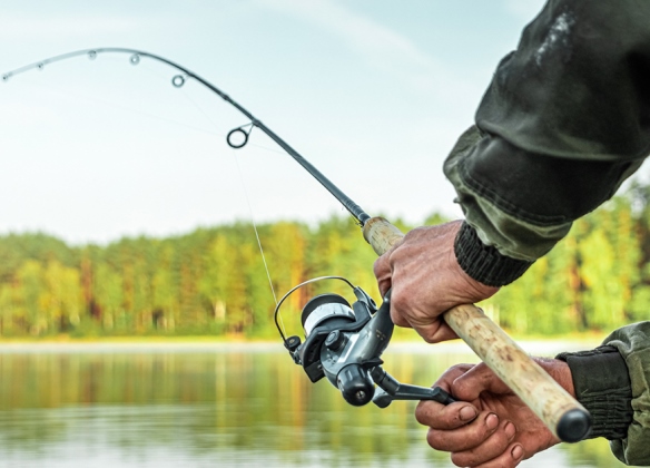 environment sustainability